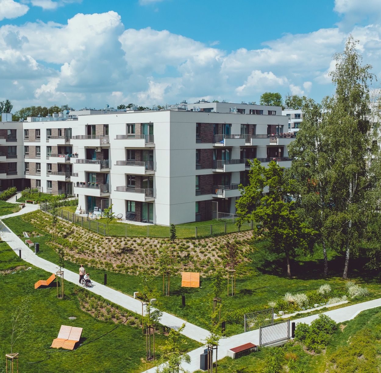 Zdjęcie 29