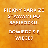 Zdjęcie box 1