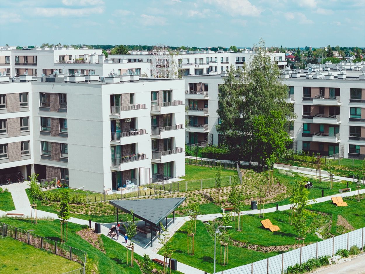 Zdjęcie 31