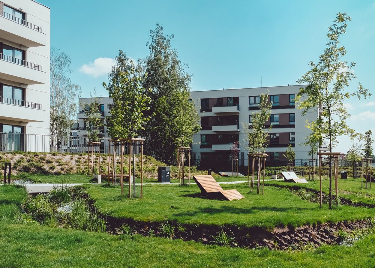 Zdjęcie 36