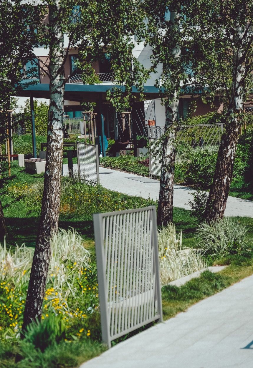 Zdjęcie 38