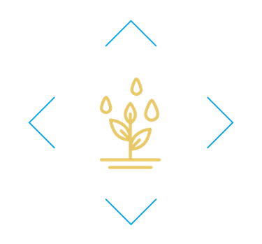 Ogrody deszczowe